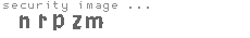 security image