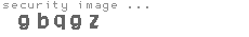 security image