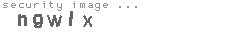 security image