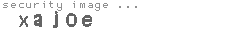security image