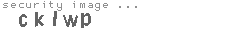 security image