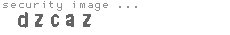 security image