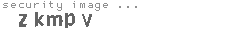 security image