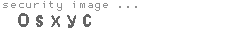 security image