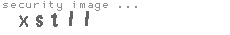 security image