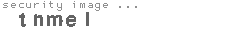 security image