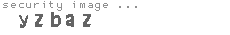 security image