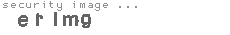 security image