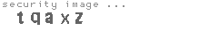 security image