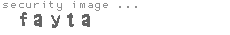 security image