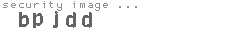 security image