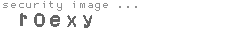 security image