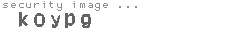 security image