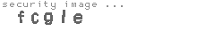 security image