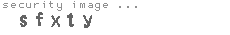 security image