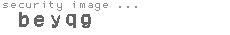security image