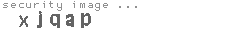 security image
