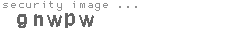 security image