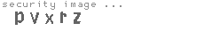security image