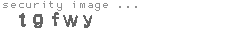 security image