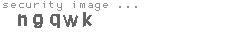 security image