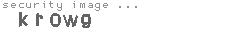 security image