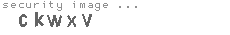 security image