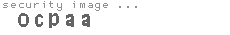 security image