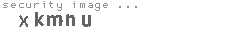 security image
