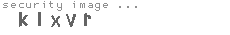 security image