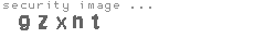 security image