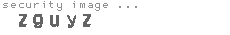 security image
