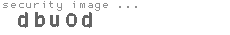 security image