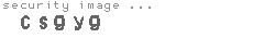 security image