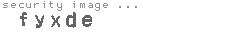 security image