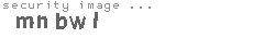 security image