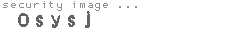 security image