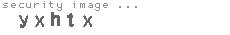 security image