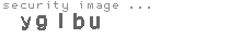 security image