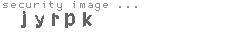 security image