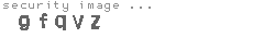 security image