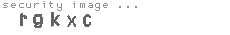 security image