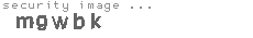 security image