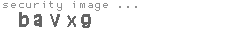 security image