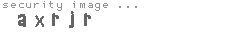 security image