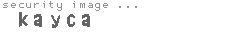 security image