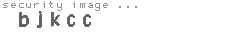 security image