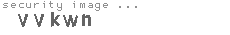 security image