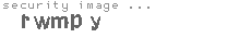 security image
