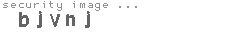 security image